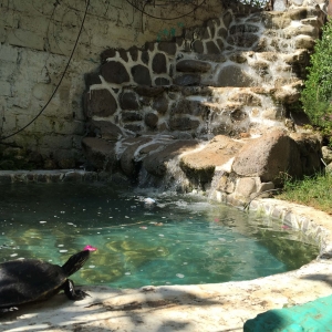  - combatir conductas autodestructivas, m&eacute;xico