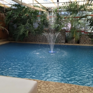  - mexico, ayuda contra adicciones