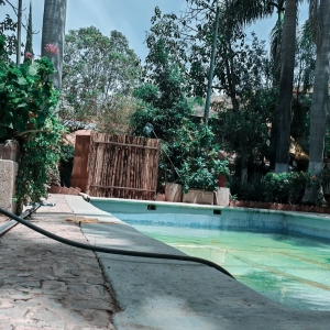  - mexico, salud emocional