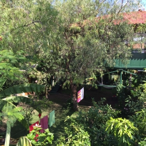  - grupos de apoyo, corazon