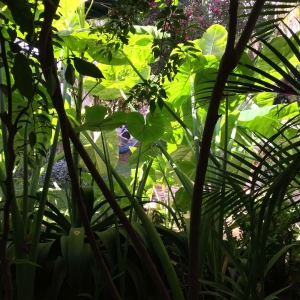  - mexico, vivir libremente