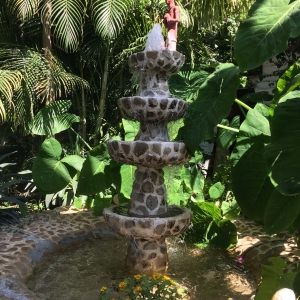  - salud emocional,zapopan