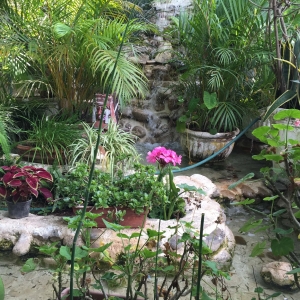  - vivir libremente, terapia