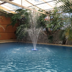  - jaguar, salud emocional