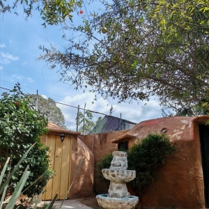  - jalisco, salud mental