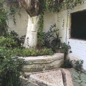  - jalisco, grupos de apoyo