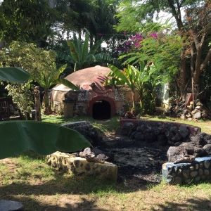  - zapopan, vive en armonia