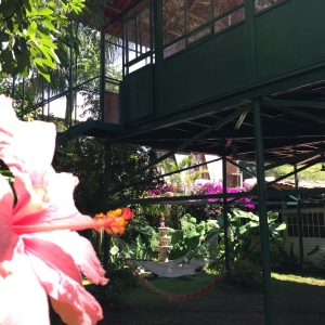  - ayuda contra adicciones,