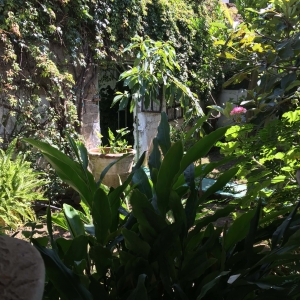  - nuestras instalaciones,jalisco