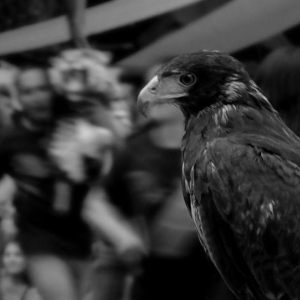  - salud emocional,zapopan