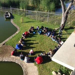  - grupos de apoyo, depresion