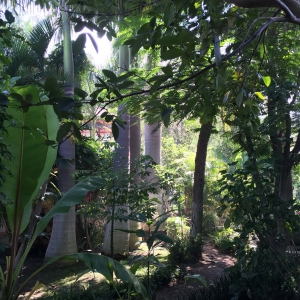  - salud mental, vive en armonia