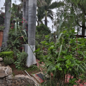  - m&eacute;xico, salud mental