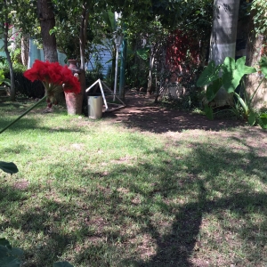  - nuestras instalaciones, anorexia