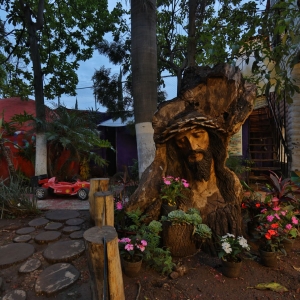  - jaguar, combatir conductas autodestructivas