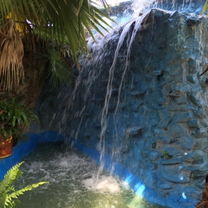  - terapia, m&eacute;xico