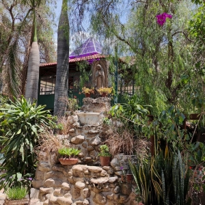  - ayuda contra adicciones,mexico